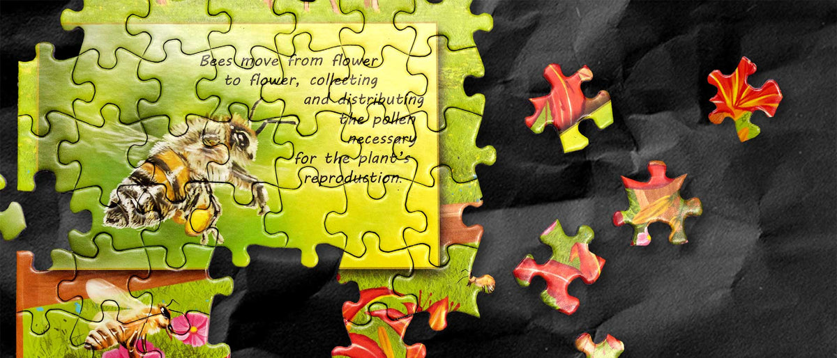 Standards in Puzzles — Jigsaw Puzzle Lesson Plans for middle school