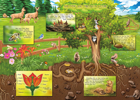 Plant Structures and Animal Behaviors Jigsaw Puzzle
