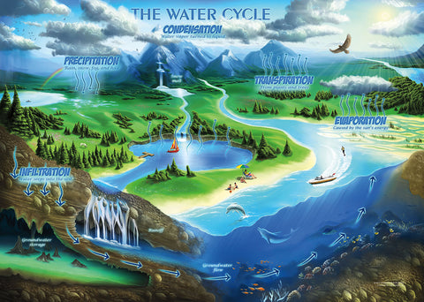 The Water Cycle Jigsaw Puzzle